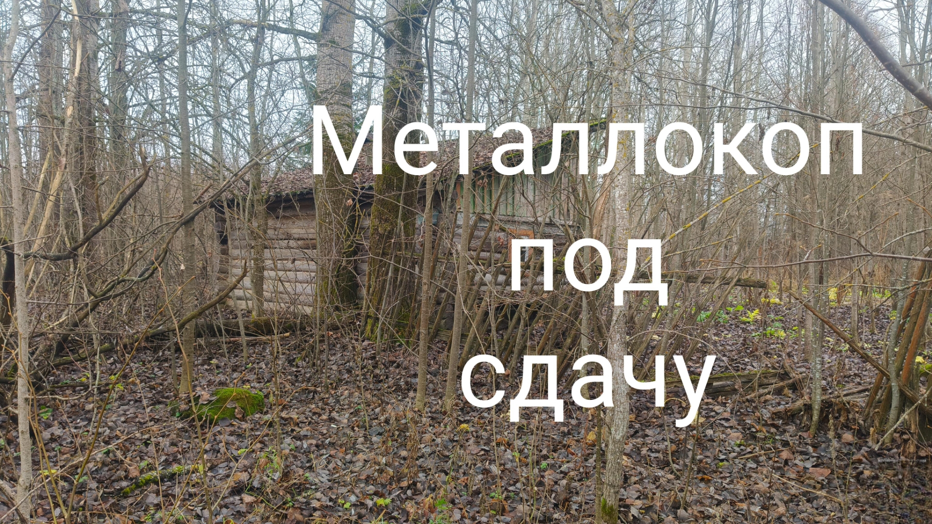 Цена растёт 😁Металлокоп под сдачу!