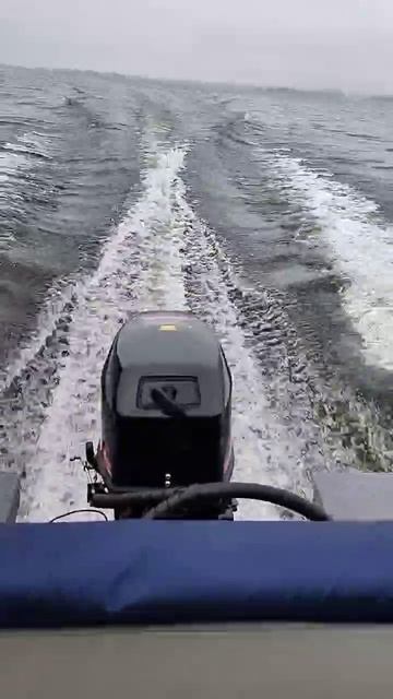 ALUTON 390 Fish HDX T20(30) FWS