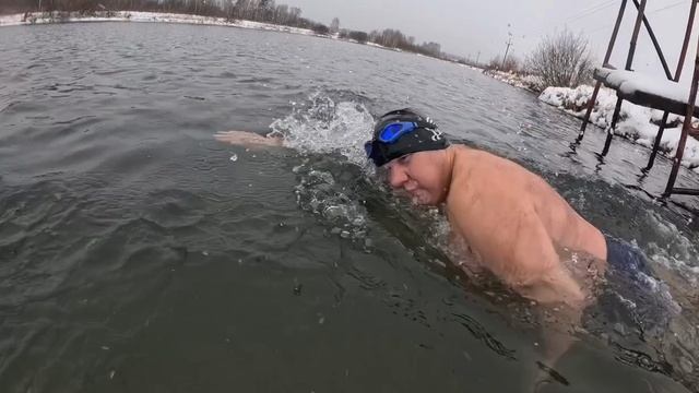 Боярыни!Моржи!