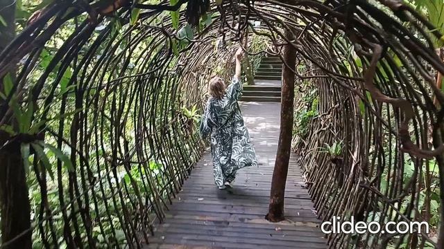 парк Янода на о. Хайнань