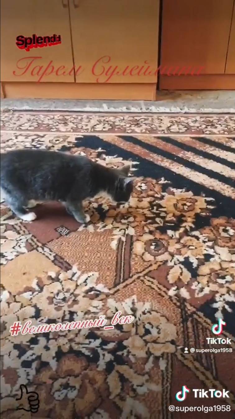 великолепный_век