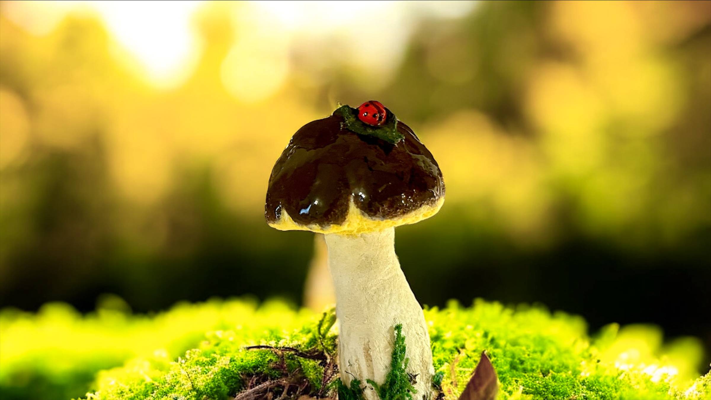 Ёлочная игрушка из ваты. Белый гриб. DIY.