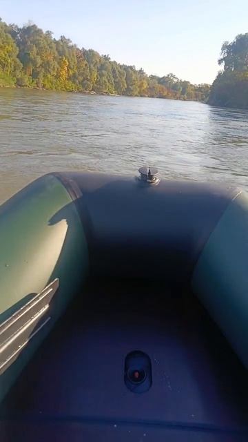 еще один гибрид ветерок