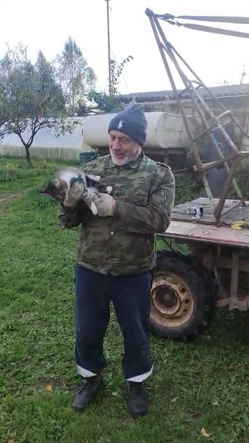 Неудачный репортаж с кошкой на фоне вездехода 