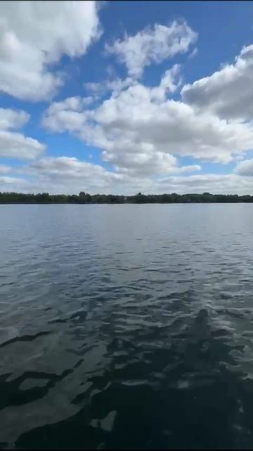 гибрид ветерок