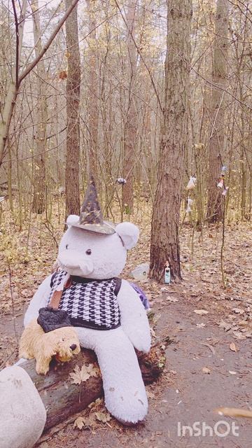 Кладбище домашних игрушек посреди леса