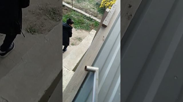 Мы играем прятки на улице