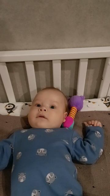 молодой морж!