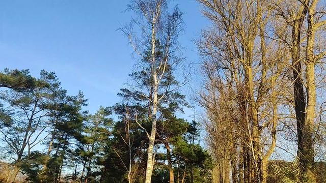 Велодорожка 071125
