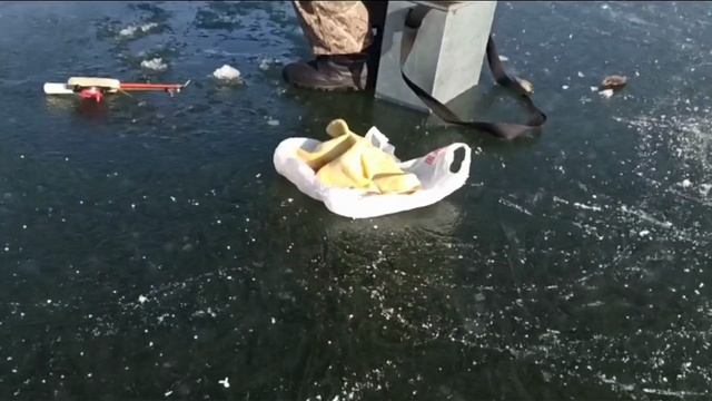 1f26a9836019d9f007c55ad19dd313ea