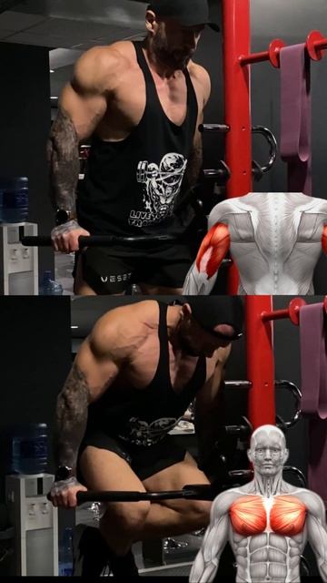 Трицепс или Грудные