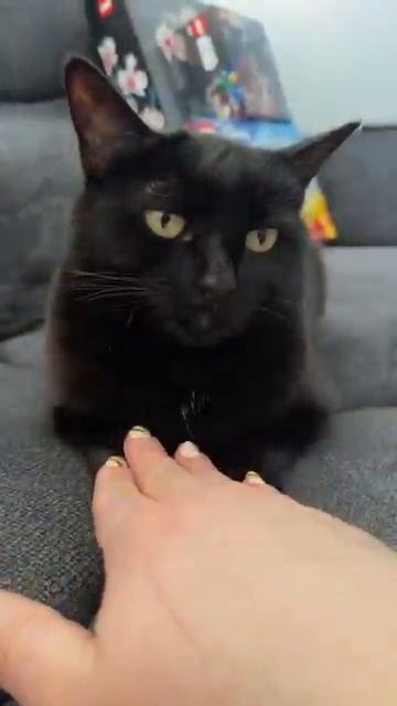 0036b1d9f8e5269d0994eb7bd3029a50