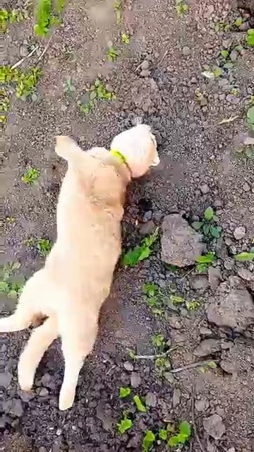 5e8a126a7868188273b7f1d8db6a3f6a