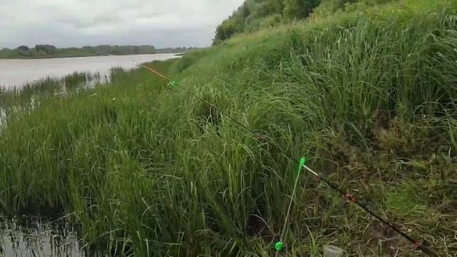 66732da86ad825ca0593e994dd759dce