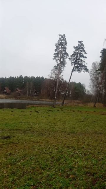 Берендеевка в Костроме