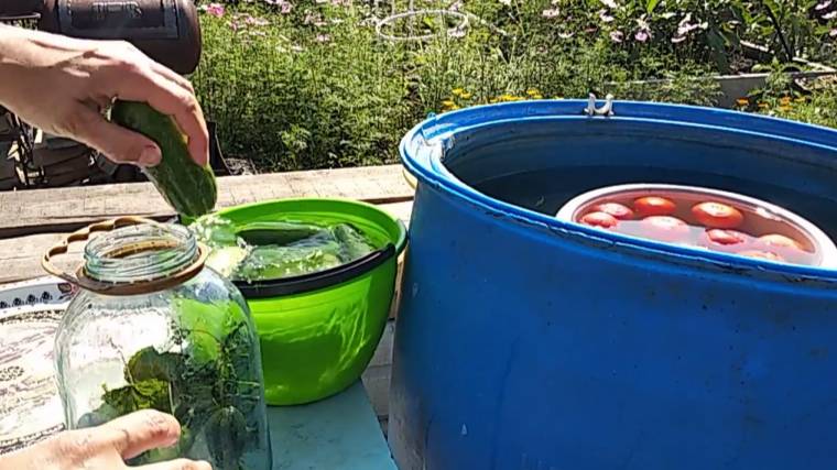 Ассорти из огурцов и помидоров. Заготовки на зиму.