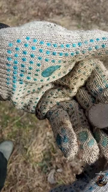 Разочарования камрадов(