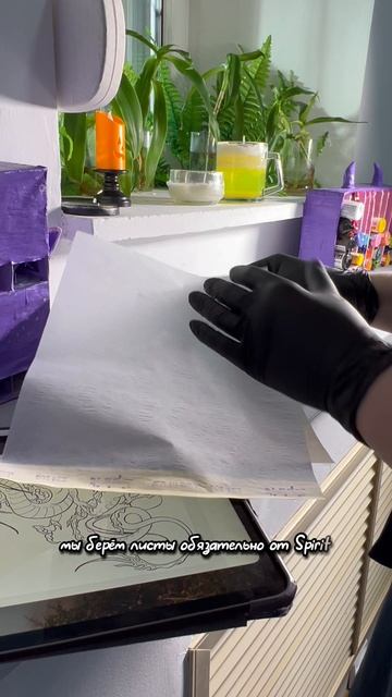 Copy_C588B214-797C-4978-A096-69C5B66ACEBC