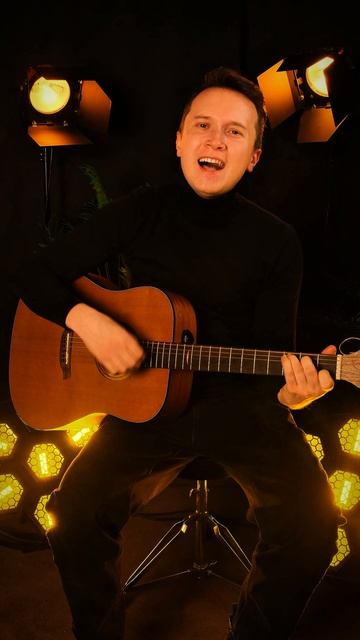 Леонид Агутин, Владимир Пресняков - Аэропорты #гармонь #ведущий #гитара #баян #ведущий на свадьбу