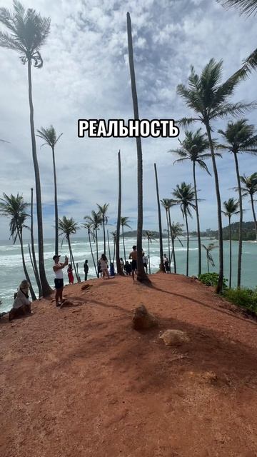 Coconut Tree Hill: ожидание и реальность 🏝️