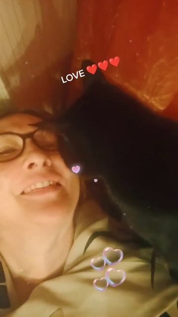 Вот это Любовь! Котики...
ваша благодарность ❤️❤️❤️
Https://dzen.ru/id/691542f8229c4c5634673f78?dona