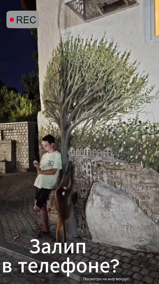 Залип в телефоне? Оторвись и посмотри на мир вокруг!