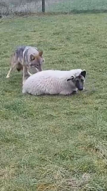 8da138c390fa79b93357e481e4a15e4a