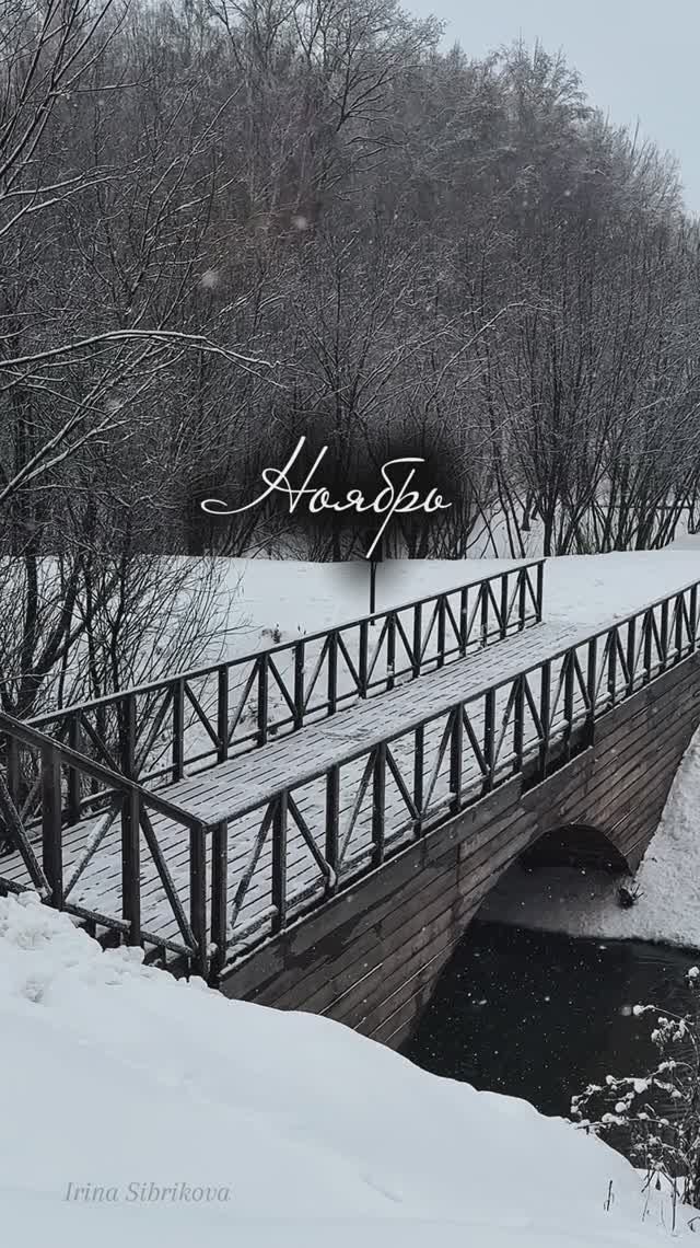 Сибирский ноябрь - снежная сказка ❄️💙