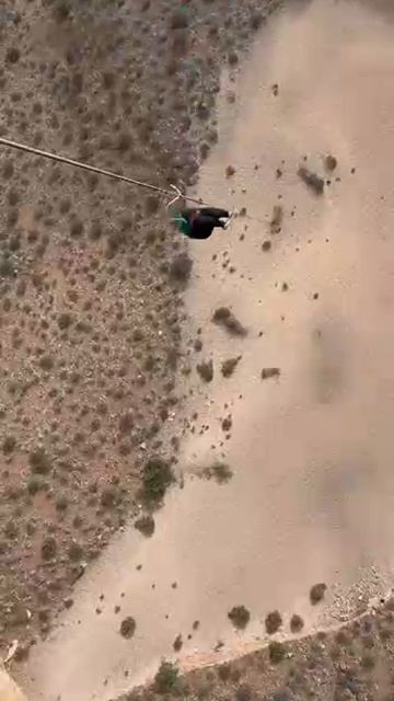 C4612695eebbb3237db7bff275db6678