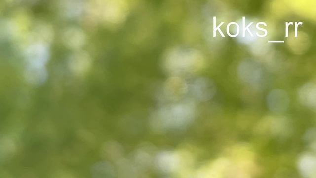 Май 2025 Утки Koks_RR