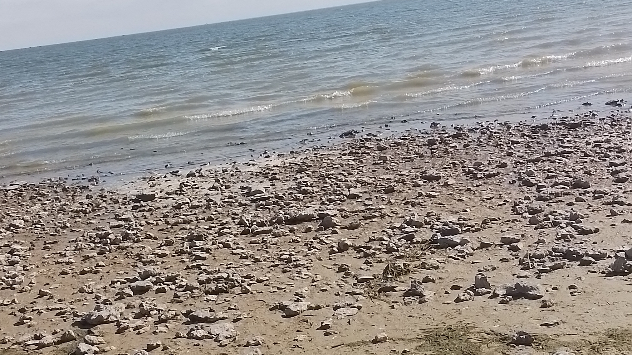 море и камни