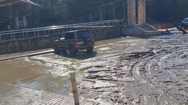 Утро после наводнения в Сочи. Хоста 2024. Утро вечера мудренее.