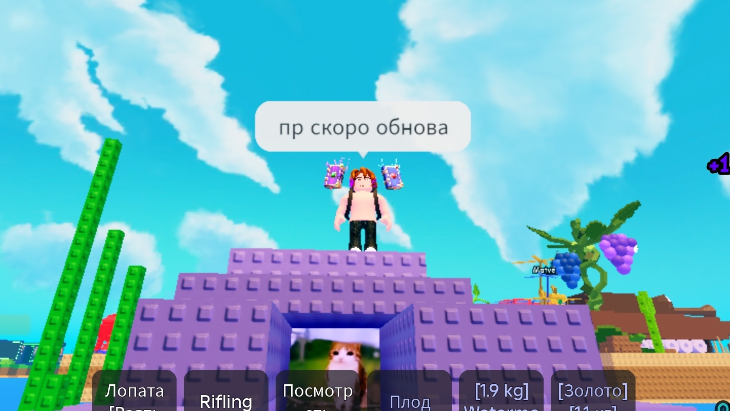 5cae3c12d6d493259ed82b62abaeb33b