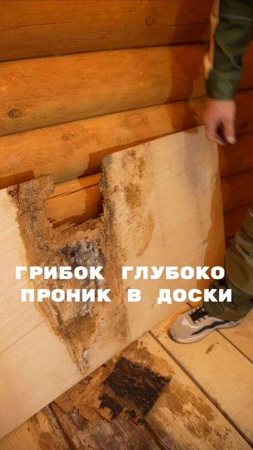 Ремонт пола после затопления, что делать? Замена ламината, фанеры и доски - так правильно!