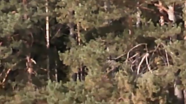 94057862020c7872cbde7af84884f0e3