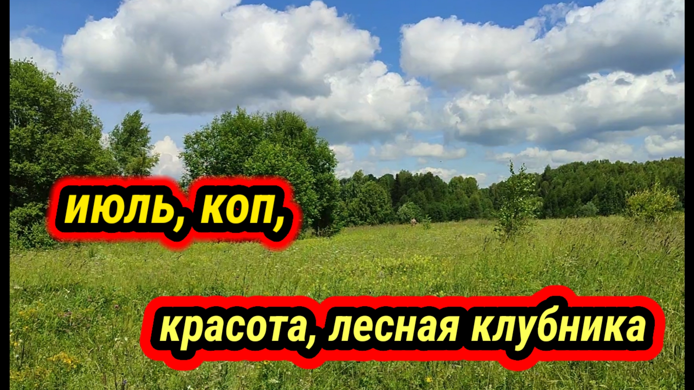 июль, коп, лесная клубника