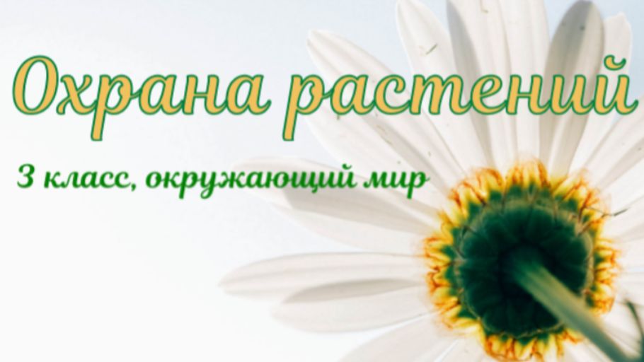 Урок по окружающему миру по теме: 