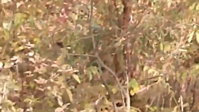 15f966170a2170945499af943fd7ba75