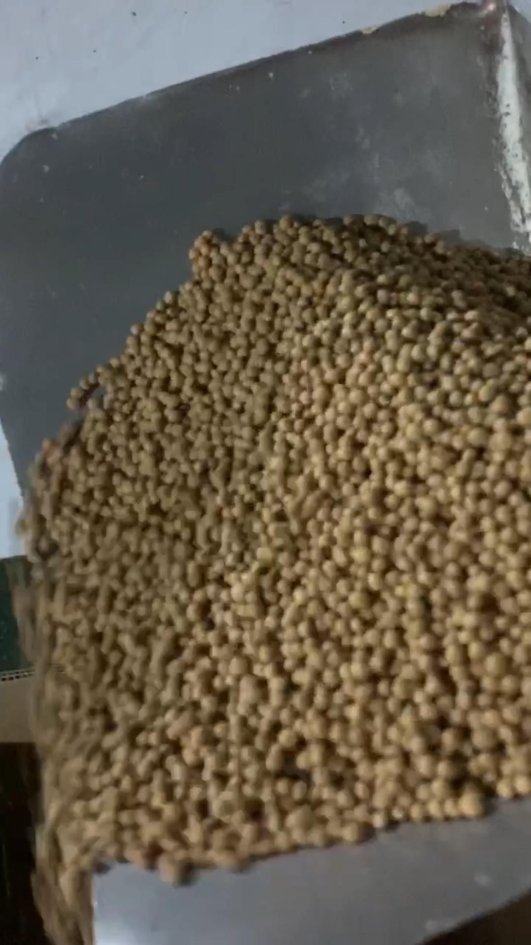 Испытание производства экструдированного корма для рыб #экструдер #сушка #форель #осетр #линия #dxy