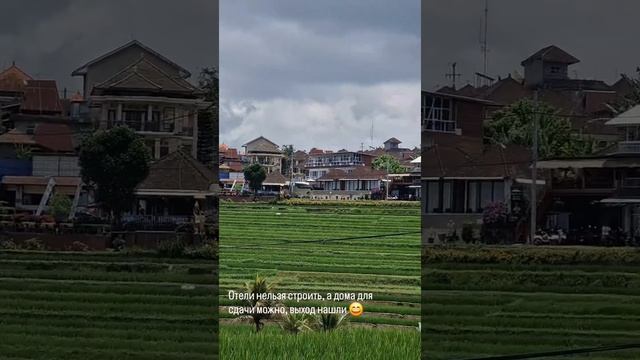 Бали. Рисовые террасы Джатилувих.