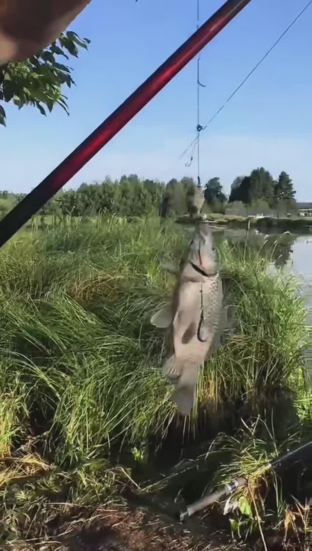 3783b82d43ed0620e10ae0ab44d5dc7b