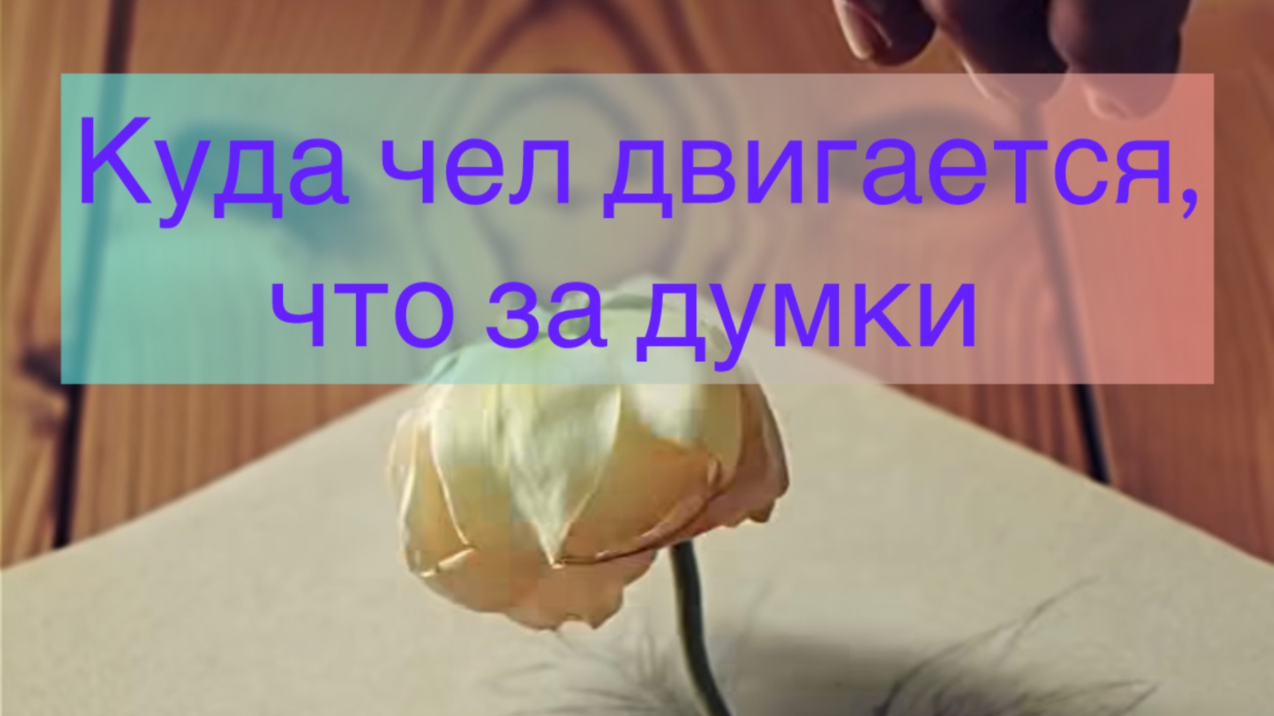 Куда чел движется, что за думки