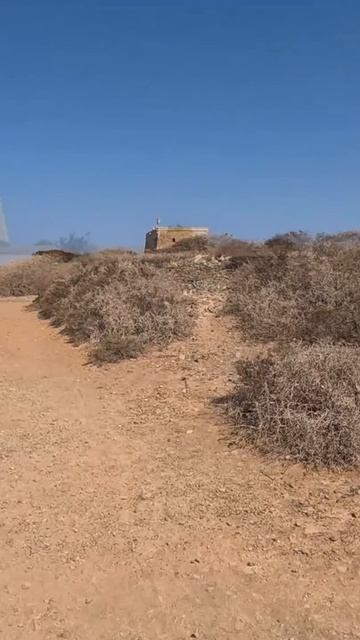 47a78423127782e2d7e5f6c2b13f0c63