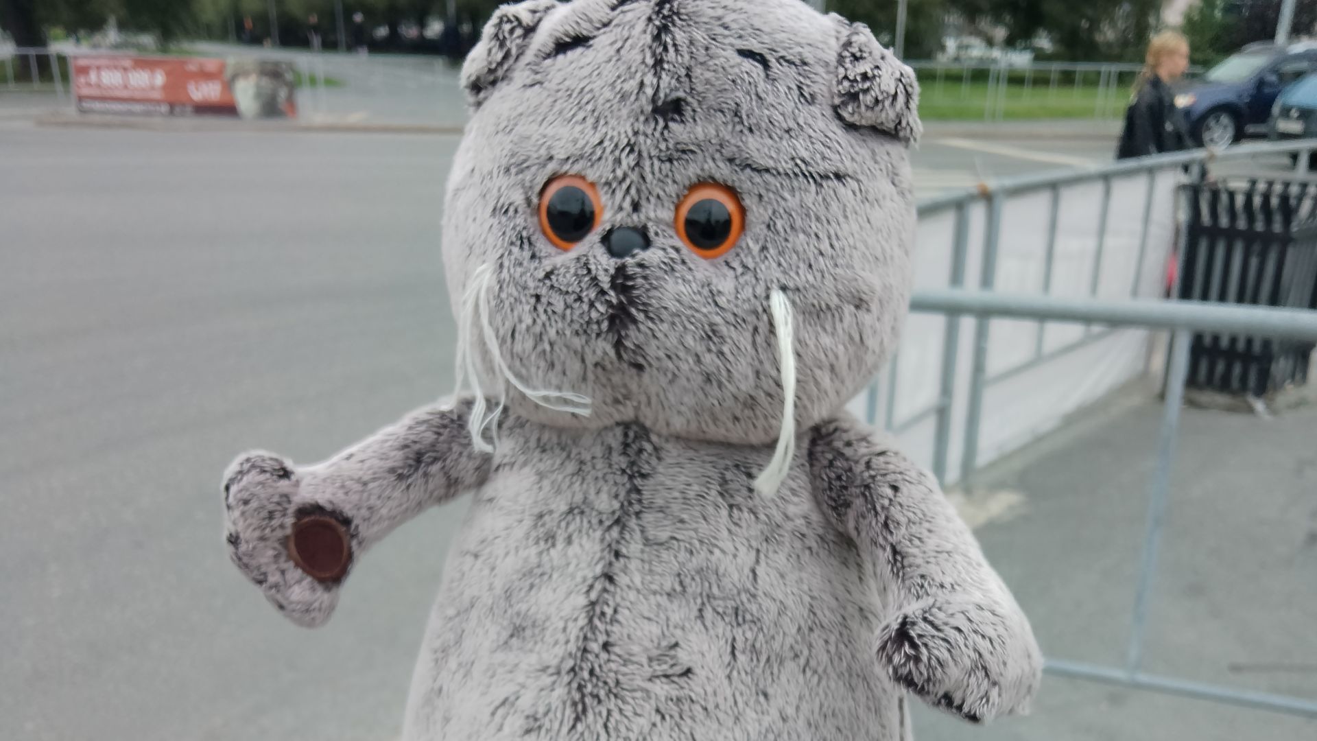 Видео о том, как я ухаживаю за Полей🐢