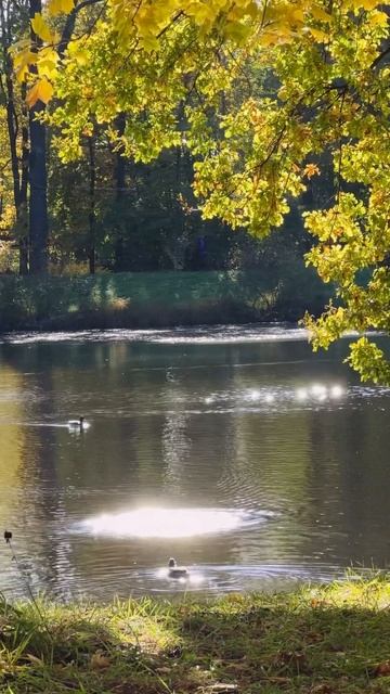 Осень — последняя, самая восхитительная улыбка года🍁🍂