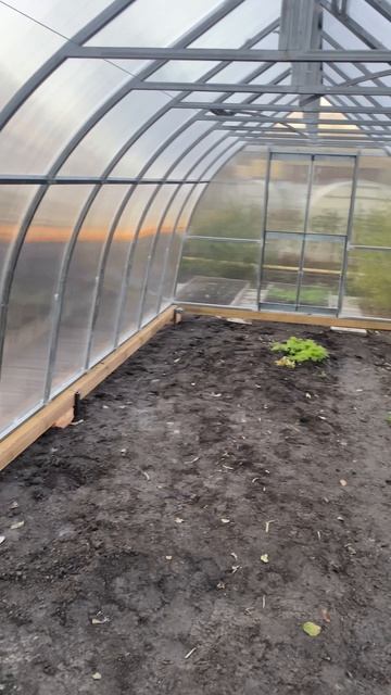 Теплица Готика