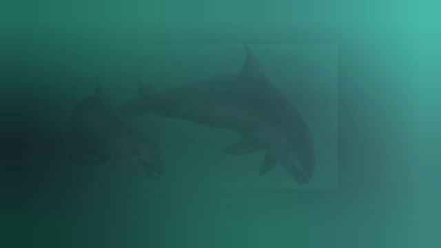 E3197f971f4ce5d3436a971efaaf7ebf