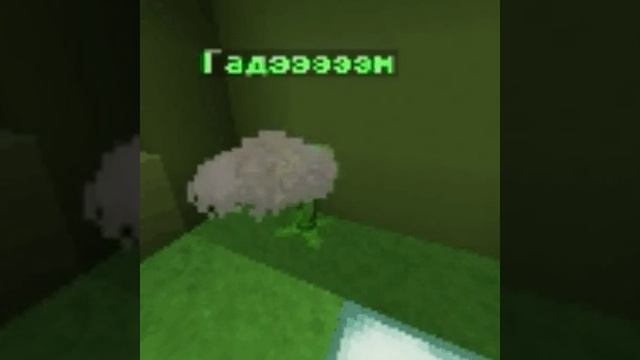 E531d022914b9317e188314d54b745f9