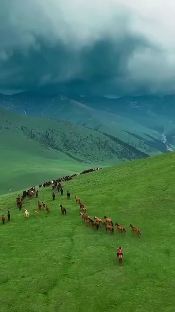 Heart Of Central Asia Kazakhstan Kazakhstan Nature Relaxing