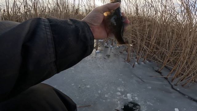 1d5a651aab44684511688bb918889dfd